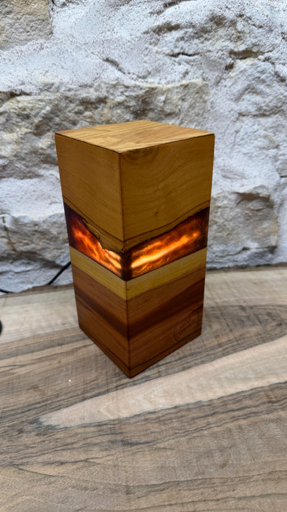 Lampe prunier/résine époxy
