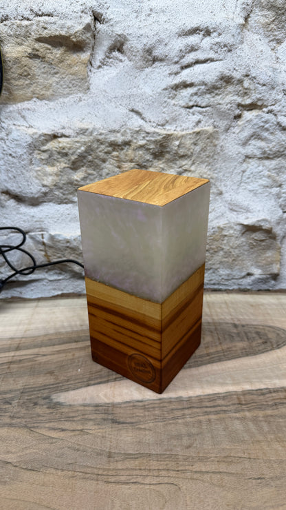Lampe prunier/résine époxy