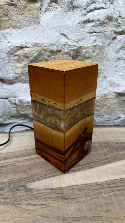 Lampe prunier/résine époxy