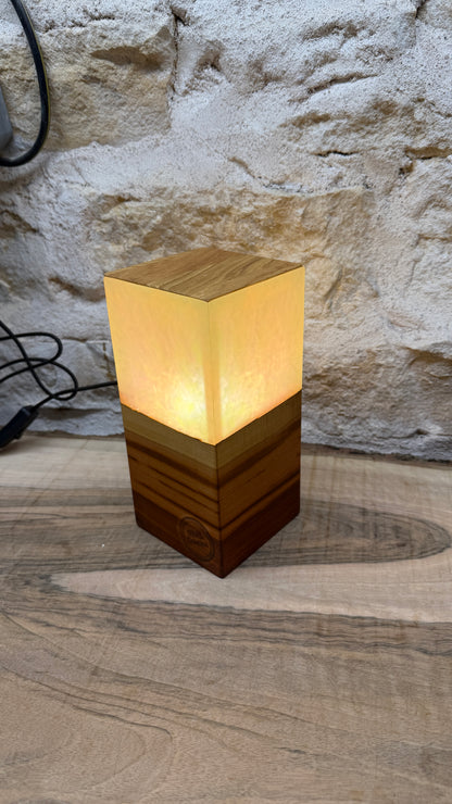 Lampe prunier/résine époxy