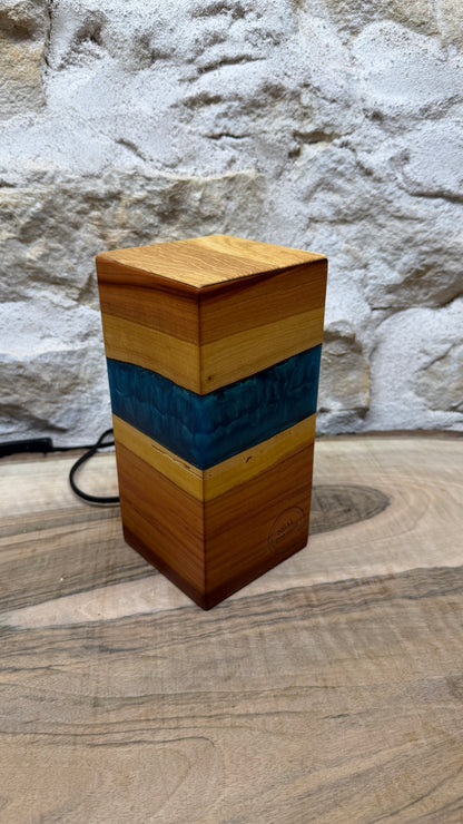 Lampe prunier/résine époxy