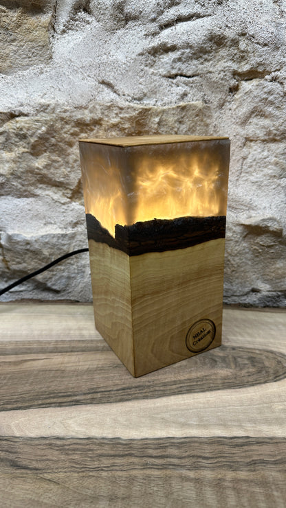 Lampe noyer/résine époxy