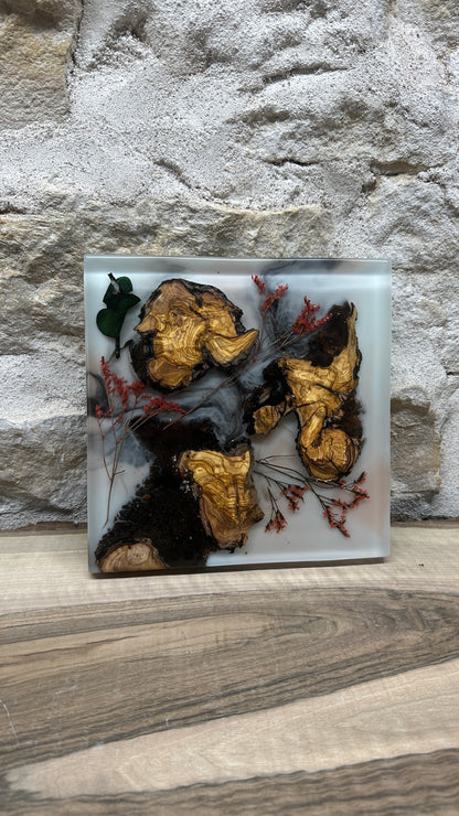 dessous de plats florale et racine d'olivier
