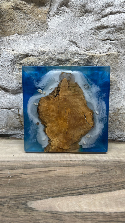 Dessous de plats effet mer en racine d'olivier