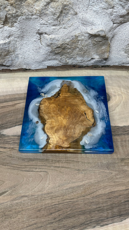 Dessous de plats effet mer en racine d'olivier